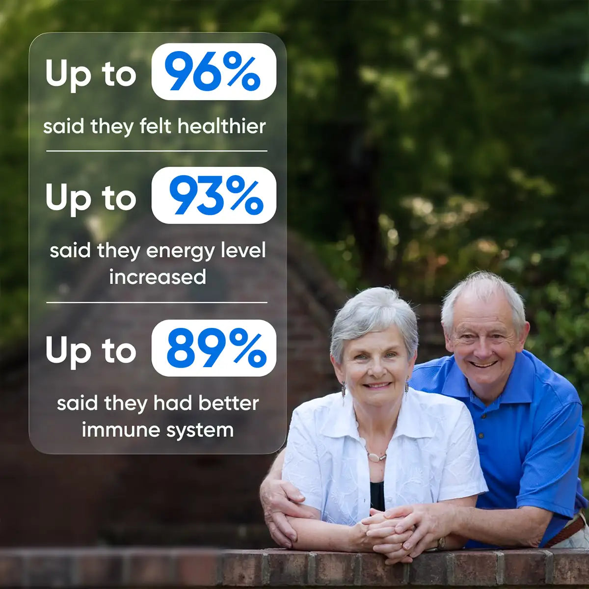 Purionix RX — Ionic Foot Detox System